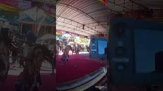 Download lagu Live🛑Full 3 Babak, Jatilan TURONGGO WIRO YUDHO, Di Gombang, Ponjong, Gunung Kidul mp3 Download lagu Live🛑Full 3 Babak, Jatilan TURONGGO WIRO YUDHO, Di Gombang, Ponjong, Gunung Kidul mp3