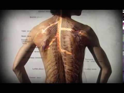 Poesie su osteocondrosi Digitare giunto facile