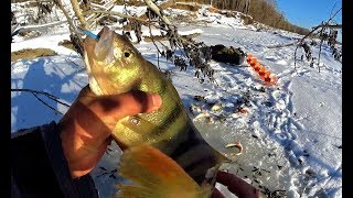 Зимняя рыбалка первый лед 2019 2020