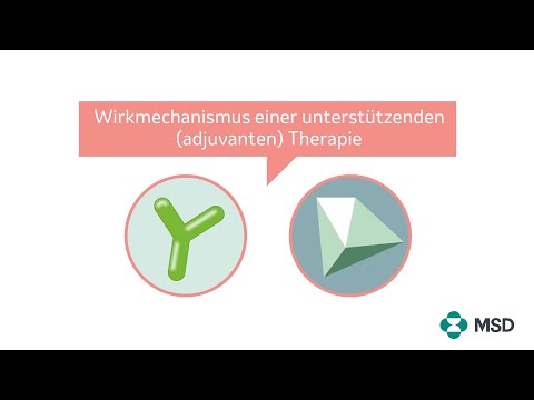Adjuvante Therapie: wie immunonkologische und zielgerichtete Therapien gegen Krebszellen wirken