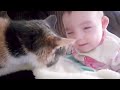 Baby and Cat Fun and Fails - Funny Baby Video