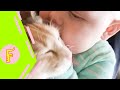 Baby and Cat Fun and Fails - Funny Baby Video mp3