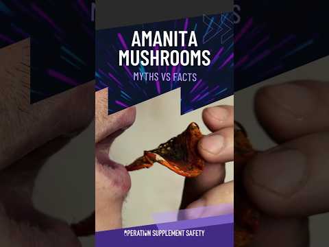 Amanita Mushrooms: Can Service Members take them? #shorts
