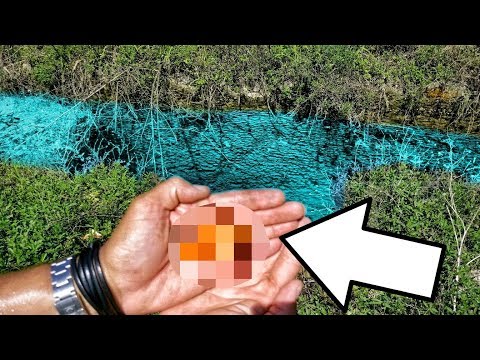 Mystery EXOTIC Fish Caught While Fishing Crystal CLEAR DITCH!
