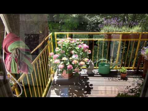 V E R K A U F T:  1,5-Zimmer Wohnung München-Johanneskirchen