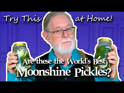 ⚗️🥒DIY: Easy to Make Moonshine Pickles ⚗️🥒