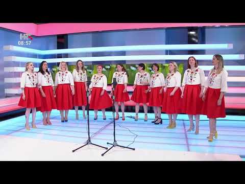 Singrlice - Vu Zagrebu