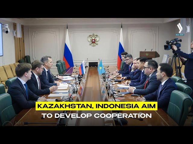 Kazakhstan, Indonesia aim to develop cooperation