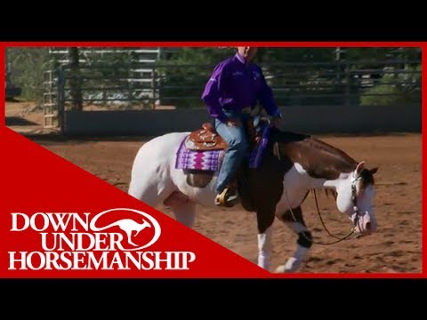 Clinton Anderson Presents: Titan a Legend in the Making, Lesson 12, Part 3 - Downunder Horsemanship