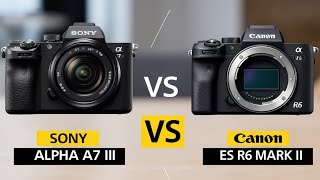Sony a7 III Vs Canon EOS R6 Mirrorless Camera I Which One Won?