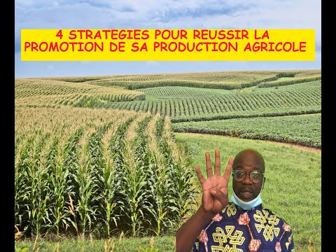 , title : '4 Stratégies pour Réussir le Marketing ou la Promotion de sa production'