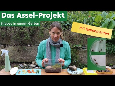 Join the research! The Woodlouse Project