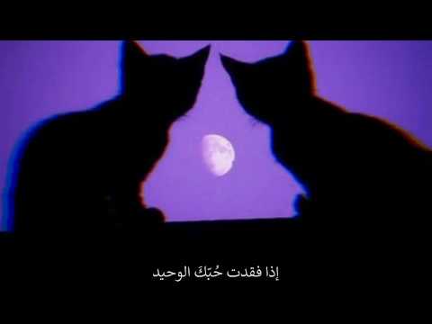 مترجمة - Cigarettes After S | Neon Moon