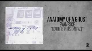 Anatomy of a Ghost - Beauty Is In Its Embrace