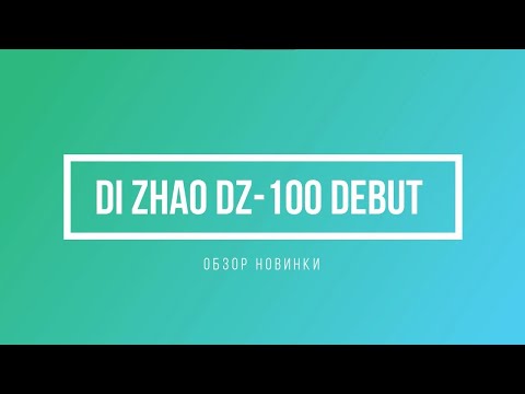 Флейта Di Zhao DZ-100 Debut (Обзор новинки)