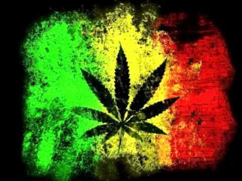 The DSC - Sensi Addict