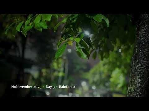 Noisevember 2025 Day 3 - Rainforest
