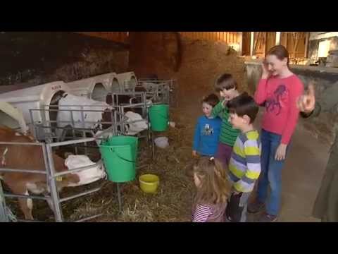 Egmating - Biobauer Georg Stündler - Ortschaft der Woche