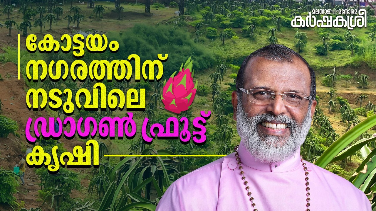 നഗരത്തിന് നടുവിൽ കൃഷിയുമായി ബിഷപ് | Dragon Fruit Farming