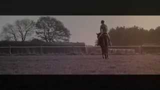 I'm looking for a place to start