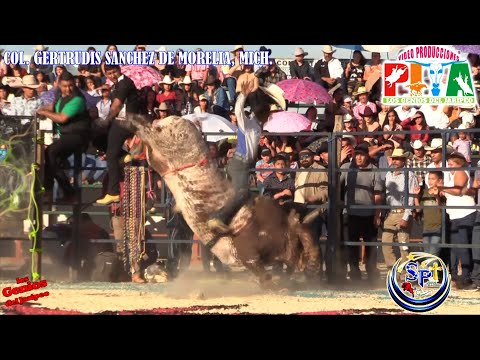 !!JARIPEYASO CHINGON¡¡with the powerful selection in the col.gertrudis sanchez of morelia, mich.