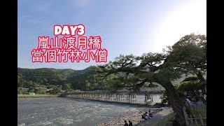 鴻鴻遊日本-自由行-DAY3[嵐山竹林秘境] 嵯峨野小火車.天龍寺.野宮神社.渡月橋