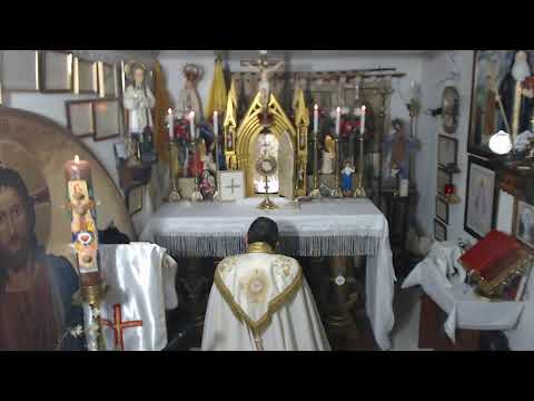 SANTA MISA TRADICIONAL, San Luis Maria de monfort y San Pablo de la  Cruz, Confesores, 28-04-2026