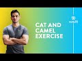 How To Do Cat And Camel Exercise by Cult Fit | Back Stretches | Yoga Pose | Cult Fit | CureFit