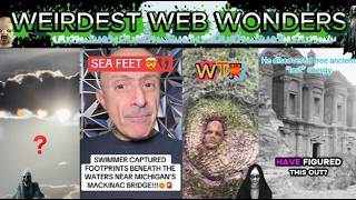 weirdest web wonders vol 396