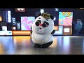 熊猫班卜 Who You Wanna Dance With Bamboo Panda Chinese Animation Laugh And Happiness