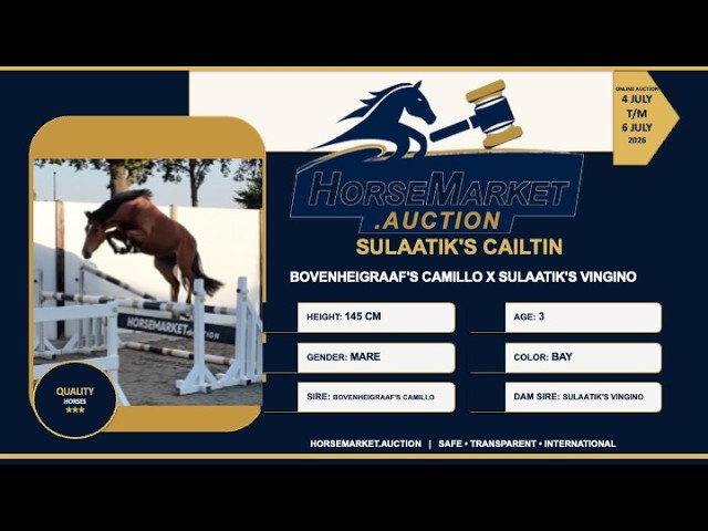 Sulaatik's Caitlin