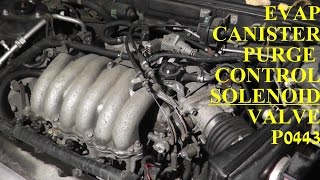 How to Test and Replace EVAP Canister Purge Control SOLENOID Valve P0443