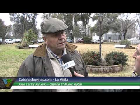 Remate Varias Cabañas en Salliquelo - Risueño