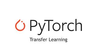 PyTorch for Beginners - Transfer Learning: Finetuning a ResNet-18 Mode