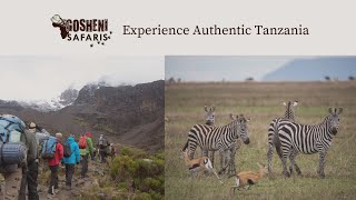 Gosheni Safaris- Experience Authentic Tanzania