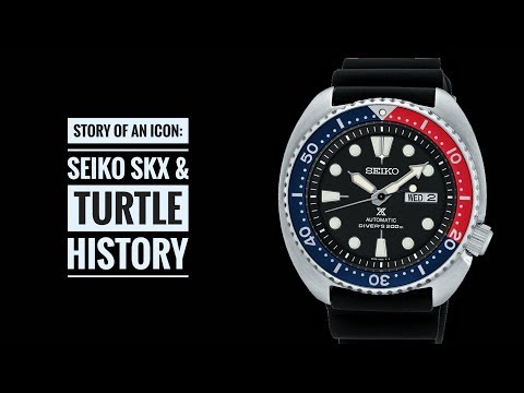Story of an Icon: Seiko SKX & Turtle Dive Watches | Armand The Watch Guy
