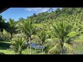 FERME EQUESTRE 15HA A ITACARE BA-BRESIL A 3KM DE LA MER