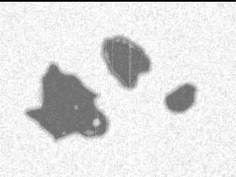 A Decade Later Theme Full