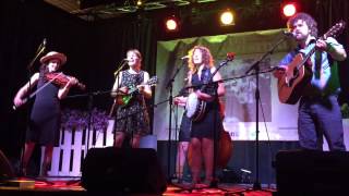 Velvet Joe &amp; the Bluegrass Diamonds &quot;Carrie Brown&quot;