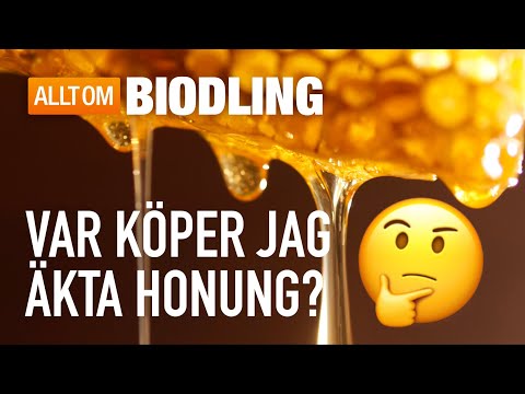 Var köper jag äkta honung? Fuskhonung konkurrerar ut svensk biodling