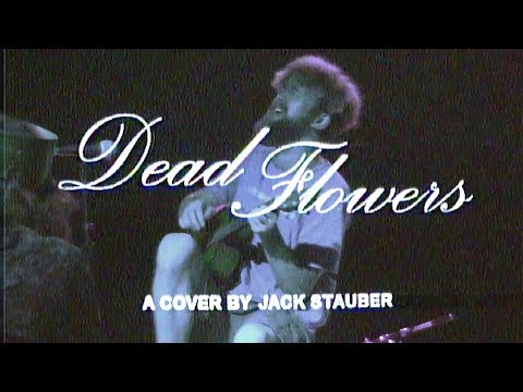 Dead Flowers - Jack Stauber