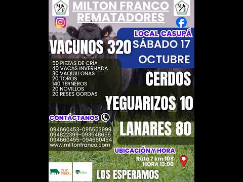 17/10/2026 Local Casupá - Florida - Feria mensual - Milton Franco | Clic Rural