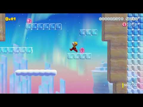 Super Ice Climber Bros (Switch) Super Mario Maker 2 SMM2 - SSJ Vida
