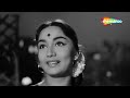 Tera Mera Pyar Amar | Asli Naqli (1962) | Lata Mangeshkar | Dev Anand | Sadhana | Old Classic Songs