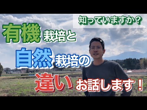 ベンビシネについて詳しく解説