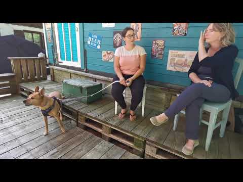 Thysson - sehr freundlicher, älterer Herr