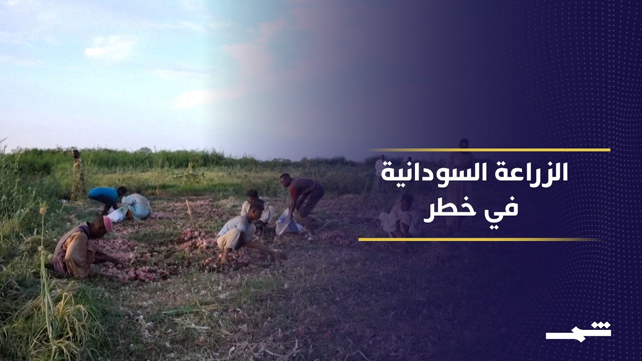 فيديو | الحرب تهدد موسم الزراعة في السودان