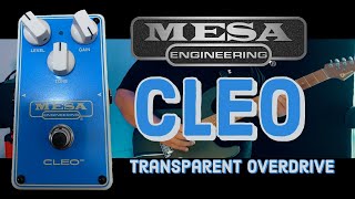 Mesa/Boogie Cleo - What To Know & Where To Buy | Equipboard