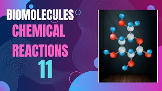 Biomolecules; Class 11; Chemical reactions