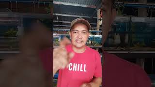 acclimate or iquarrantine muna pag may bagong isda